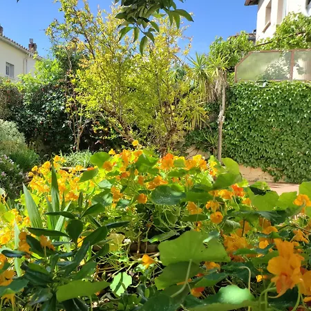 Les Papillons Apartment Perpignan Exterior photo