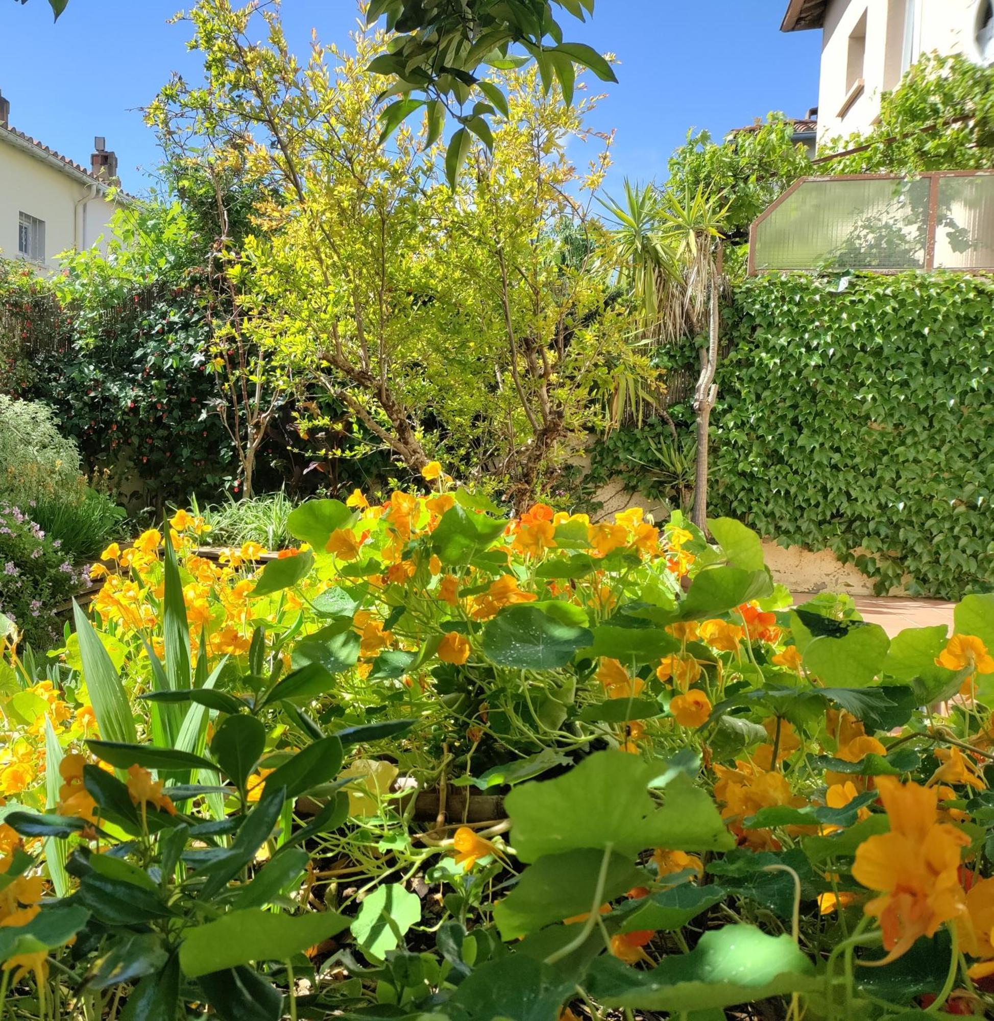 Apartment Les Papillons